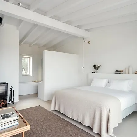 Amaria * אלג'זור